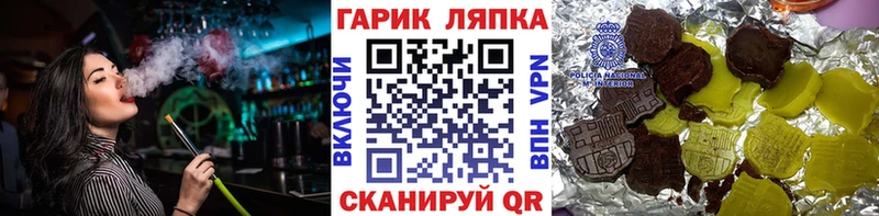ГАШ Изолятор  Снежногорск 