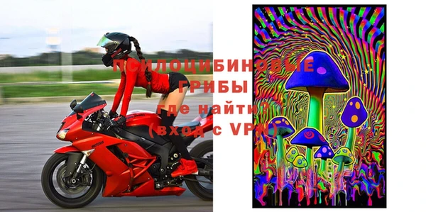 гашик Пестово