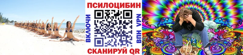 Галлюциногенные грибы Psilocybe  Снежногорск 