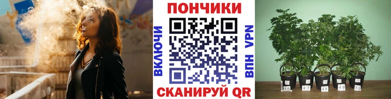 Каннабис индика  Снежногорск 